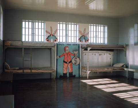 66_Robbenisland015.jpg